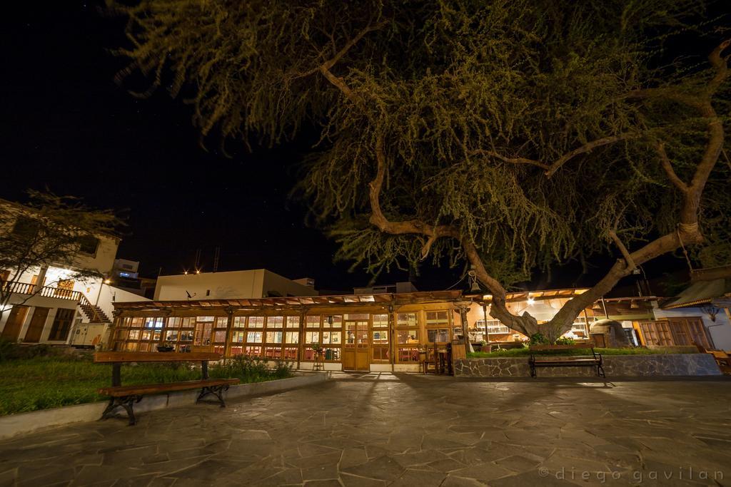 Hotel El Huarango Ica Exterior foto